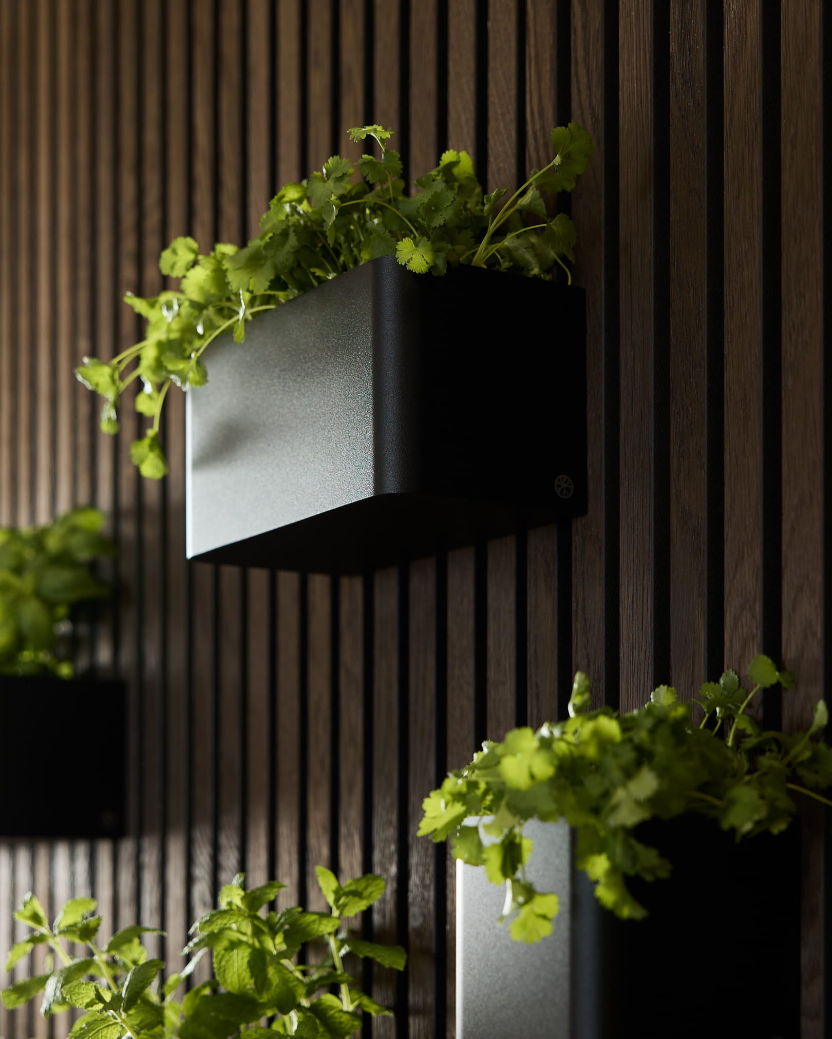 Black Norr Pflanzbox (23,9 cm) von WoodUpp, mit grünen Pflanzen, montiert auf einem vertical dunklen Holz-Akupanel Akustikpaneel.